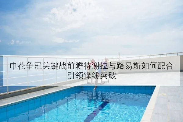 申花争冠关键战前瞻特谢拉与路易斯如何配合引领锋线突破