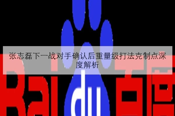 张志磊下一战对手确认后重量级打法克制点深度解析